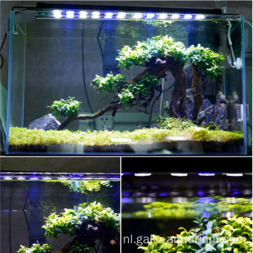 High Watt Aquarium LED -lichten 1W LED